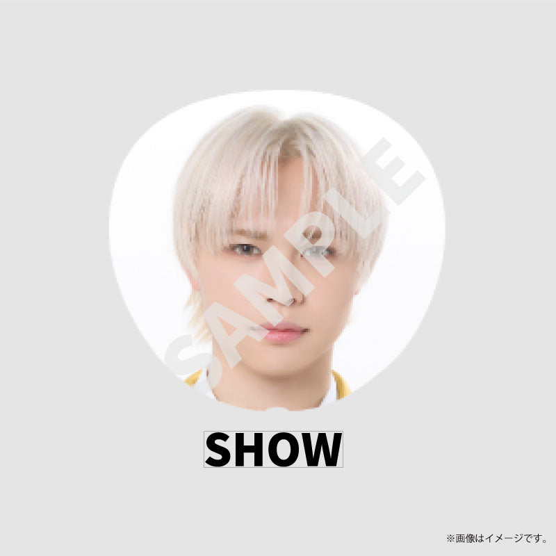 [EBiDAN]EBiDAN THE LIVE 2026 15th Anniversary Bigうちわ【BUDDiiS】