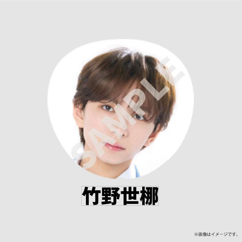 [EBiDAN]EBiDAN THE LIVE 2026 15th Anniversary Bigうちわ【ICEx】