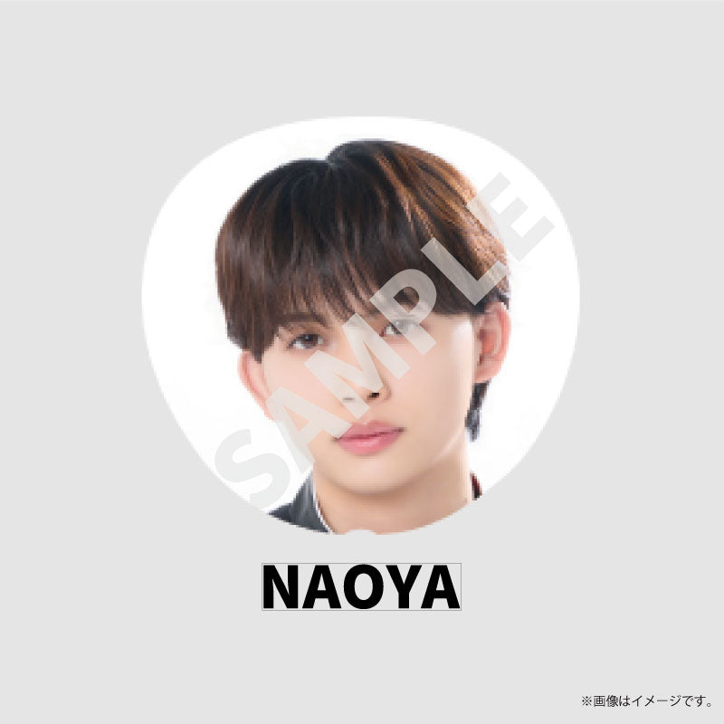 [EBiDAN]EBiDAN THE LIVE 2026 15th Anniversary Bigうちわ【ONE N' ONLY】