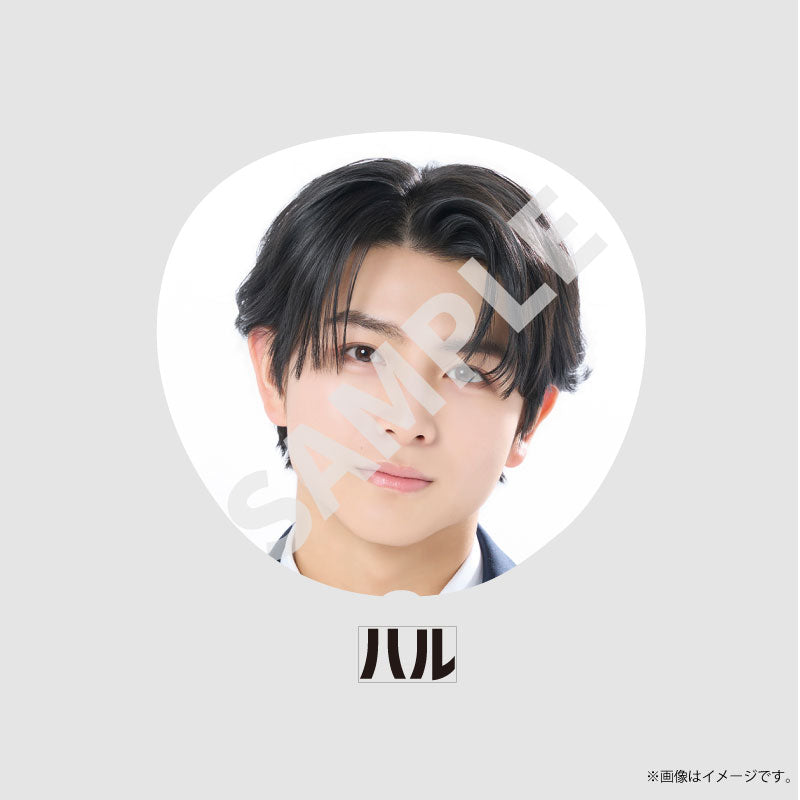 [EBiDAN]EBiDAN THE LIVE 2026 15th Anniversary Bigうちわ【超特急】