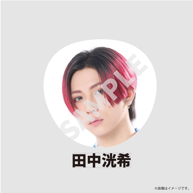 [EBiDAN]EBiDAN THE LIVE 2026 15th Anniversary Bigうちわ【SUPER★DRAGON】